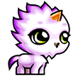 pet