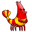 pet