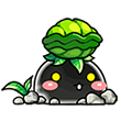 pet