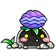 pet