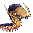 pet